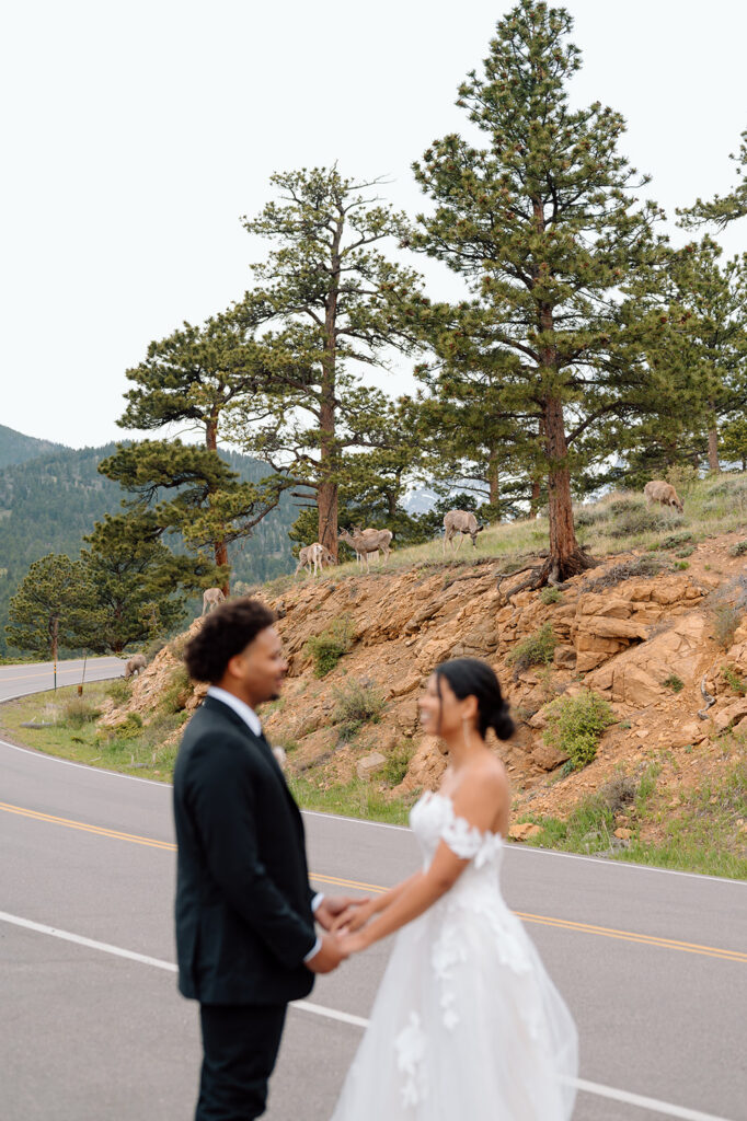 Bride and groom exploring alpine scenery in Rocky Mountain National Park.